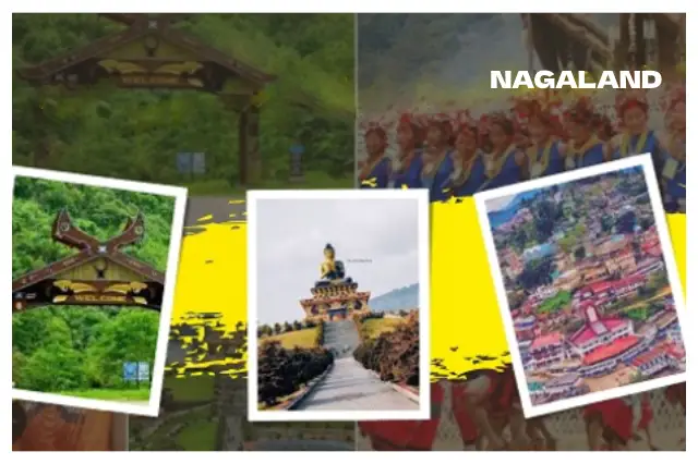 maa sherawali packers and movers in Nagaland